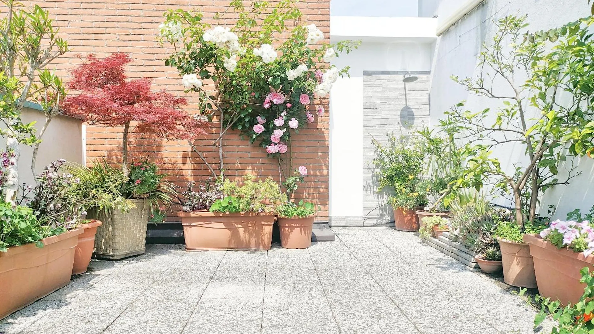Appartamento Con Terrazzo Privato Milano San Raffaele - Vimodrone Italy